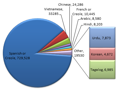 The most popular languages that Houstonians Speak Other Than English